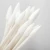 Import 100pcs/box One Head Point One Head Spiral Eco-Friendly Wood Pulp Paper Sticks Beauty Makeup Cotton Buds Sanitary Cotton Swabs from China
