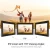 Import 10.1 Inch 16GB WiFi Digital Picture Frame 1280x800 HD Digital Photo Frame Auto Rotate Add Photos/Videos via APP from China