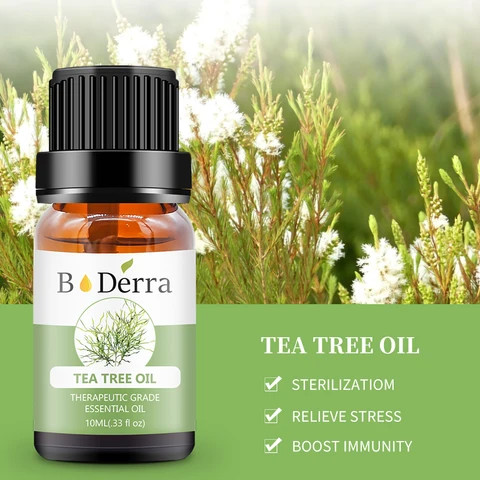 Buy 1kg Bulk Australian Tea Tree Essential Oil 100% Pure And Natural ...