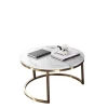 201# stainless steel titanium, stone combination coffee table combination