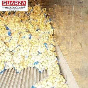 2020 Fresh High Quality Potato for Wholesale Factory Price