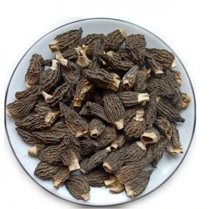 2020 LATEST GOODS Air Dried Black Morel Mushroom Wholesale Price