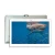 2020 NFC 10 inch pc tablet POS 2gb+16gb MTK android tablet nfc reader for pos systems tab