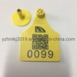 2022 Hot Sales Calf Ear Tag Ox Ear Tag Bull Ear Tag