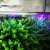 Import 220v 100cm horticulture Greenhouse light 280nm uvb led grow light Increased HTC concentration from China
