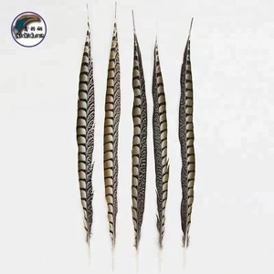 24-26 Inch(60-65 cm)Wholesale High Quality Dark Color Natural  Lady Amherst Pheasant Tail Feather for  Holiday party carnival