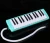 Import 27 key melodica music keyboard instrument in plastic case from China