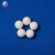 Import 3.175mm 7.938mm 10mm 8mm 12.7mm 3/4" POM PP PA PTFE hard plastic ball from China