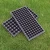 Import 50 cell Plastic plant propagator seed trays kit seedling starter germination tray from China