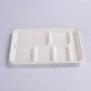 6 compartment Sugarcane Bagasse Tray Disposable plate