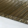 6mm polycarbonate bronze frozen hollow sheet/pc double wall board for anti-sun