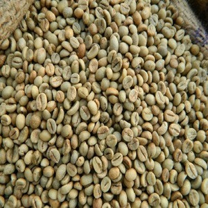 AA grade Wholesaler Dried arabica coffee beans/green coffee