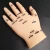 Import Acupuncture hand model pvc material 13cm medical product from China