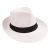 Import Agenda Summer Hat Paper Panama Straw Hat from China