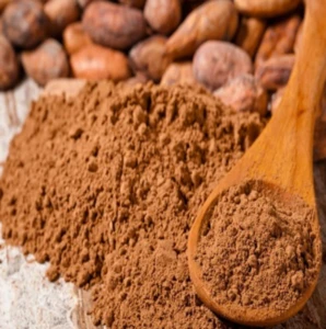 Alkalized cocoa powder Best Quality