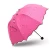 Import Amazon sell Met Water Begin Bloom Magic Compact Sun Travel Umbrellas for Women from China