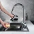 Import ARROW brand multi-function chrome plated pull down out spray kitchen faucet tap from China