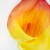 Import Artificial big Calla lily Single Silk Flowers Real touch 15*93CM Faux Calla lily for Home Wedding party garden Decoration from China