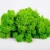 Import Artificial Plant Indoor And Outdoor Moss For Wall from China