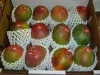 Australia Market Popular Wholesale Food Industry Packaging Custom EPE Foam Mango Imballaggio Netto For Fresh Mango