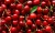 Import Australian Fresh Cherries from USA