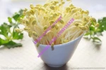 Automatic ozone sterilization bean sprout machine 0086-15939556928