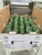 Import AVOCADO FRESH / Aguacate / PALTA HASS ,Fresh Fruit &amp; Hass Avocados for sale from Peru