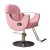 Barber Chairs for Sale Cheap Styling / Adjustable Hairdressing Salon Pink Barber Chair
