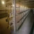 Import battery cages for broiler chicken from China