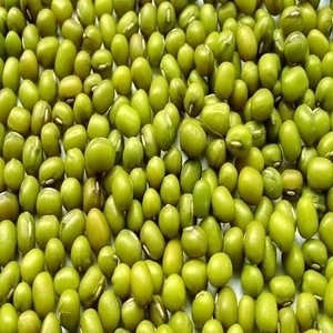 Be Cool In Hot Day Product China 2017 Crop Green Mung Beans for Human Consumption