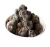 Import Best Quality Fresh Black Truffle Whole/PartTtruffle from Brazil