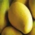 Import Best Quality Fresh Mangos Supplier From Bangladesh from Bangladesh