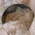Import Best Quality Whole Wheat Flour from Ukraine from Ukraine