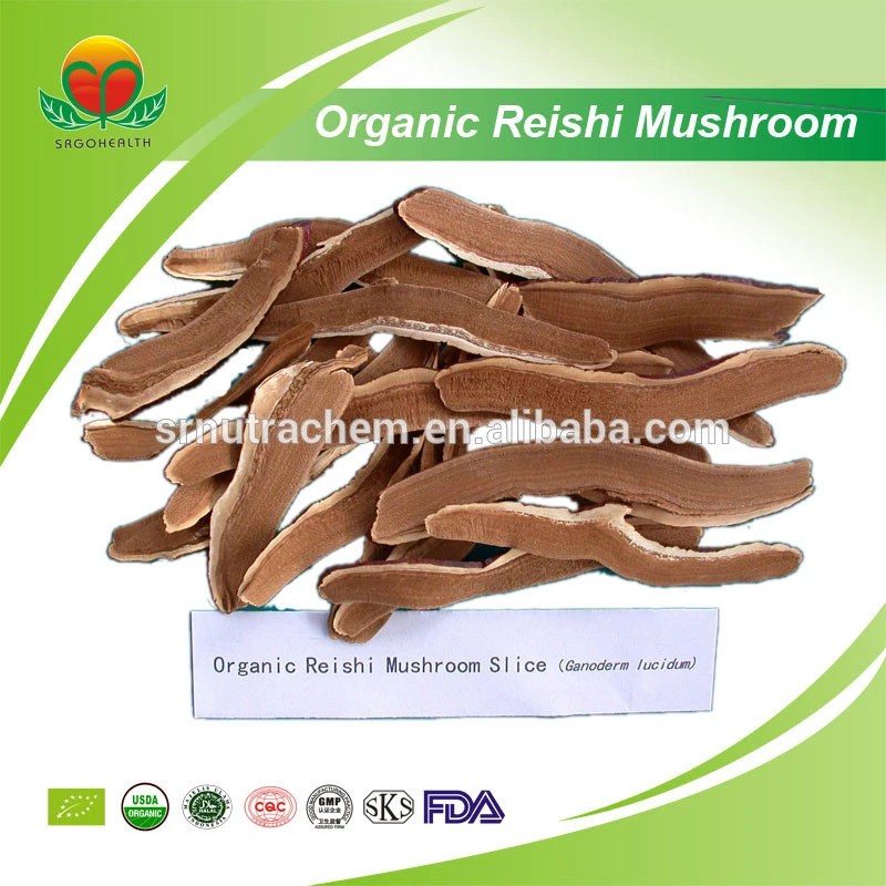Best Seller of Organic Reishi Mushroom