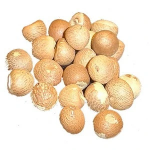 BETEL NUT FOR SELL WITH COMPETITIVE PRICE