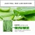 Import BIOAQUA Brand 40g Aloe Vera Gel Skin Care Face Cream Hyaluronic Acid Anti Winkle Whitening Moisturizing Acne Treatment Cream from China