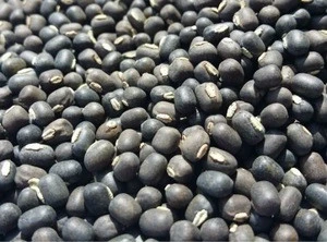 BLACK MATPE BEANS / Black Matpe Beans for Sale New Crop/Organic Black Matpe Beans