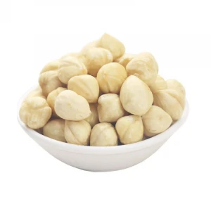 Blanched / Roasted Hazelnuts / Toasted / Hazelnut kernels Inshell / Organic Hazel Nuts from Brazil