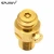 Import Brass Co2 Soda Pin Valve for Soda Sparkling Water from China