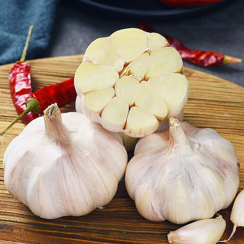 Brazil  fresh pure white garlic