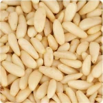 Bulk Packaging canada Cedar Pine Nuts