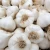 buy 2020 Fresh Chinese normal white garlic for sale