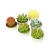 Import Cactus Tealight Candles, Handmade Delicate Succulent Scented Cactus Candles,Mini Tealight Candles from China