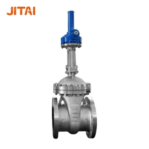 CF8 Worm Gear Operated API 603 Gate Valve for Petrochemical
