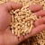 Import Cheap Biomass Wood Pellet as Boiler Fuel for Hotel / Baths / Power from South Africa