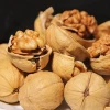 cheap Chinese bulk walnuts in shell for sale