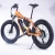 Import Cheap Electric Bike Bicycle Bicycle Mountain Bike Electric E Bike Electric Bicycle Mountain from China