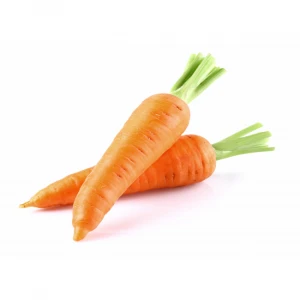 Cheap fresh carrot from Vietnam Export to EU USA Japan - High quality carrots with ISO Certificate - carrot fresh Free tax