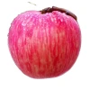 Cheap Hot Sale Top Quality Fruit Red Fuji Bulk Fresh Apple