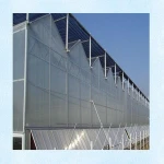 Cheap Price 2 layer transparent board greenhouse film for vegetables seeds